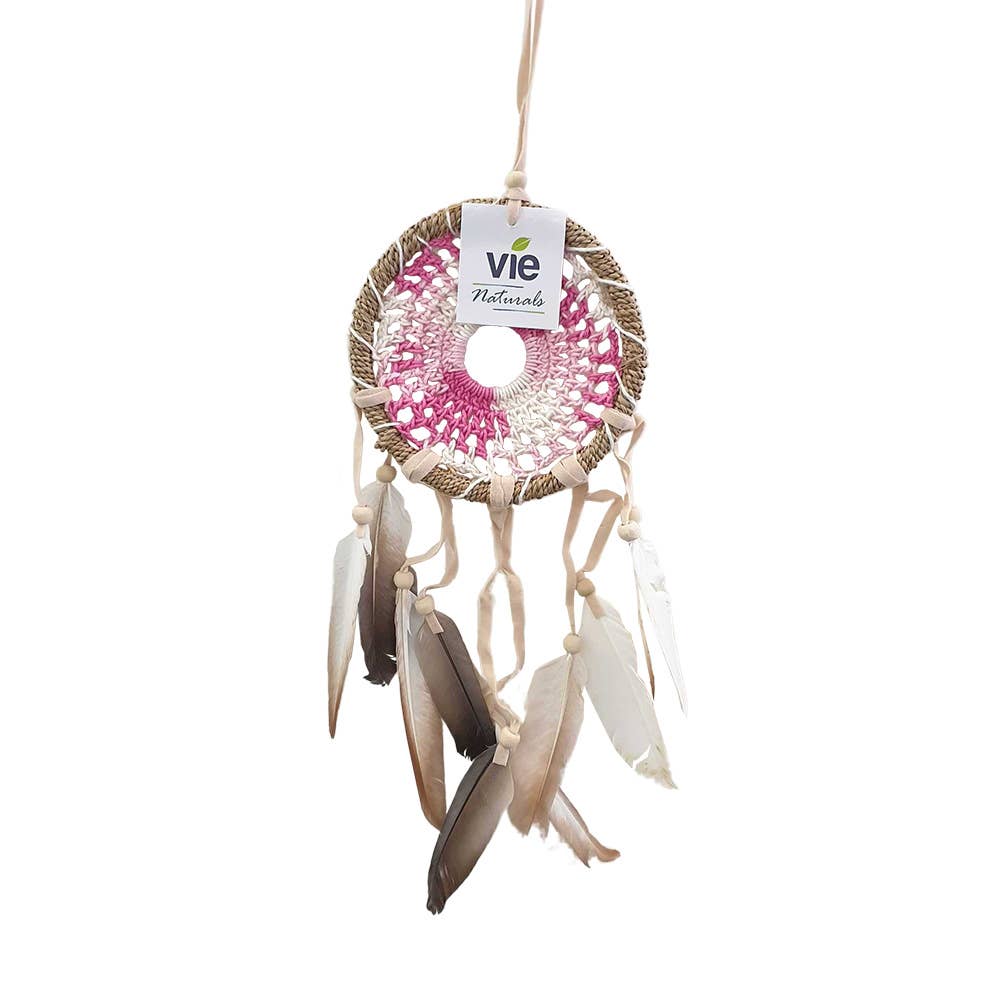 Crochet Dream Catcher, 12cm Ring: Blue & Purple