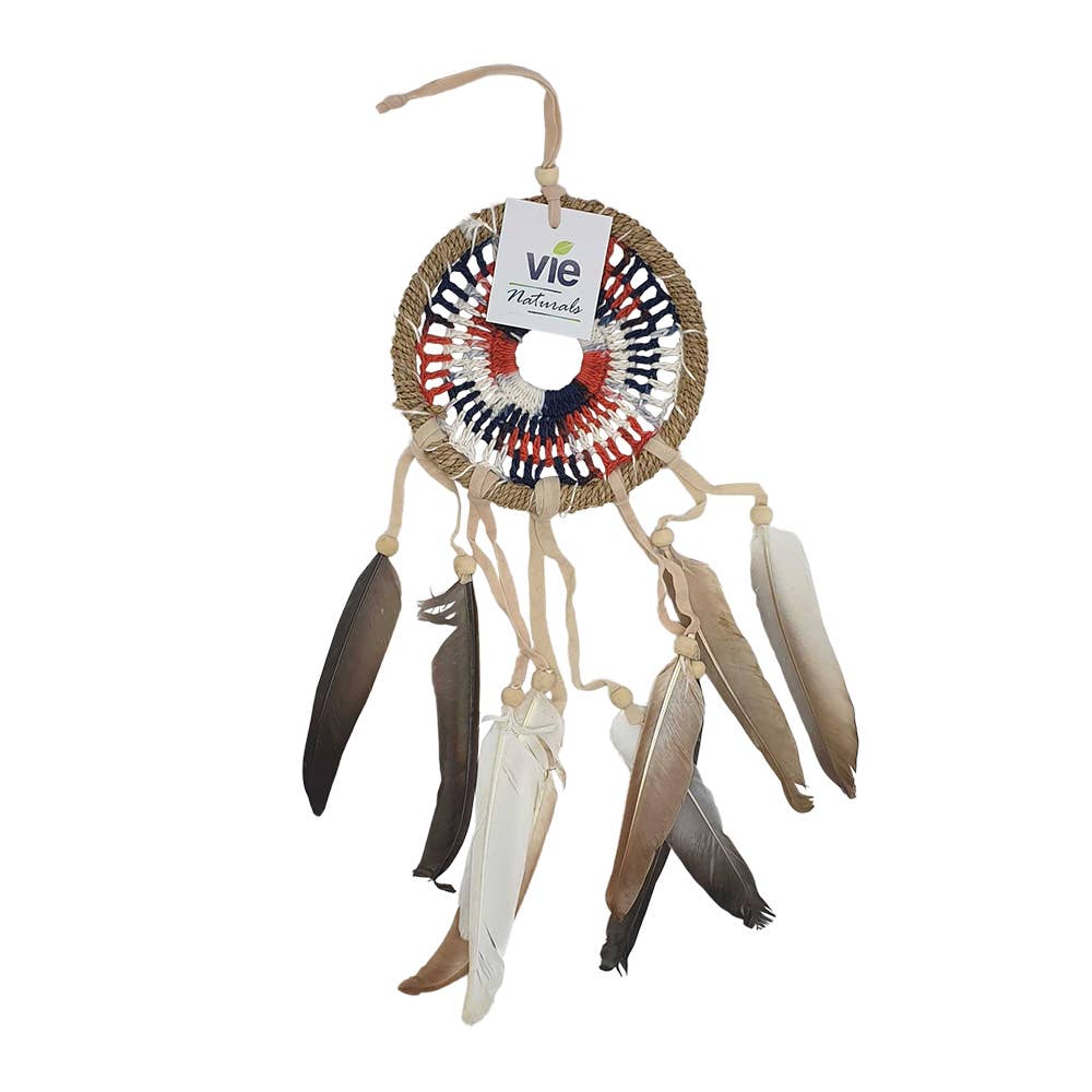 Crochet Dream Catcher, 12cm Ring: Blue & Purple